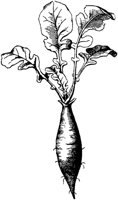 PLF108H.TIF