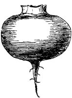PLF108D.TIF