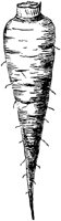 PLF107G.TIF