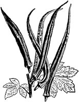 PLF105B.TIF