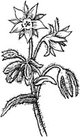 PLF105A.TIF