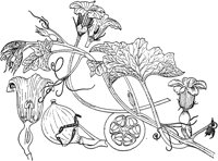 PLF104H.TIF