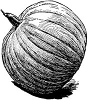 PLF104G.TIF