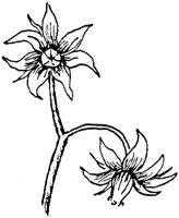PLF104D.TIF