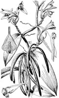 PLF103E.TIF