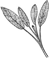 PLF103D.TIF