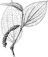 PLF103A.TIF