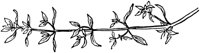 PLF102J.TIF