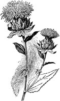 PLF102I.TIF