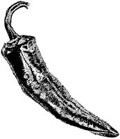 PLF102G.TIF