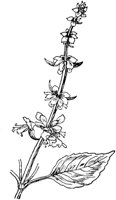 PLF102F.TIF