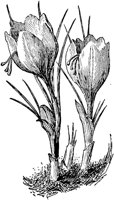 PLF102D.TIF