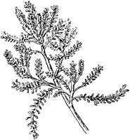 PLF102A.TIF