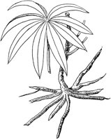 PLF101A.TIF