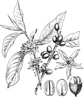 PLF099F.TIF