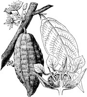PLF099C.TIF