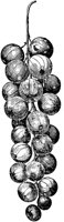 PLF098C.TIF