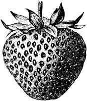 PLF096C.TIF