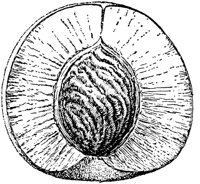 PLF095F.TIF
