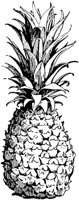 PLF095E.TIF