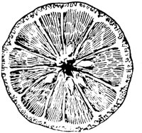 PLF095D.TIF