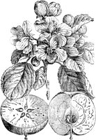 PLF094E.TIF