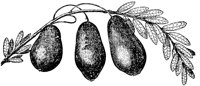 PLF094D.TIF