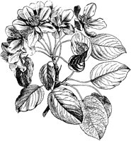 PLF094A.TIF