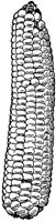 PLF093I.TIF
