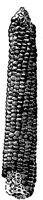 PLF093G.TIF