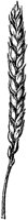 PLF093C.TIF