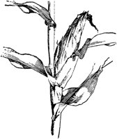 PLF093A.TIF