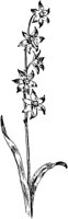 PLF092G.TIF