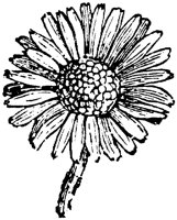 PLF092F.TIF