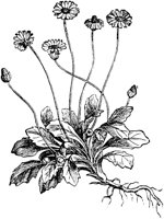 PLF092E.TIF