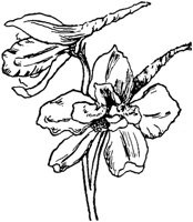 PLF092D.TIF