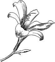 PLF092C.TIF