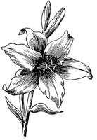 PLF092A.TIF