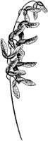 PLF180D.TIF