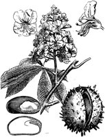 PLF178D.TIF