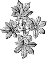 PLF178A.TIF