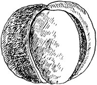 PLF177C.TIF