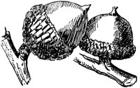 PLF176H.TIF