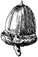 PLF176F.TIF