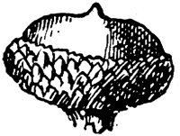 PLF176D.TIF