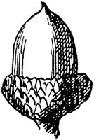 PLF176C.TIF