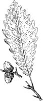 PLF175J.TIF