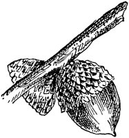 PLF175G.TIF