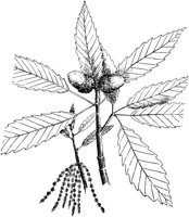 PLF175F.TIF