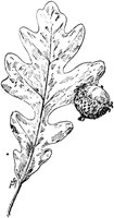 PLF175A.TIF